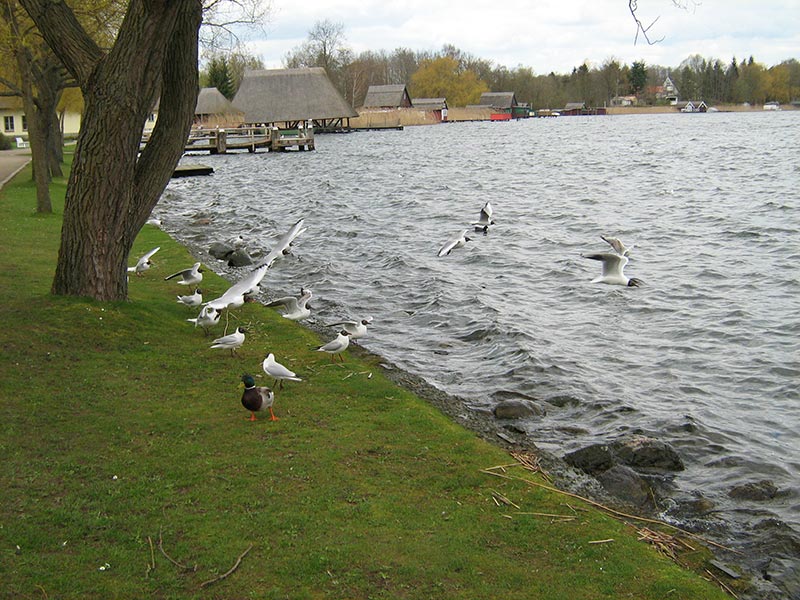 Uferpromenade Krakow am See