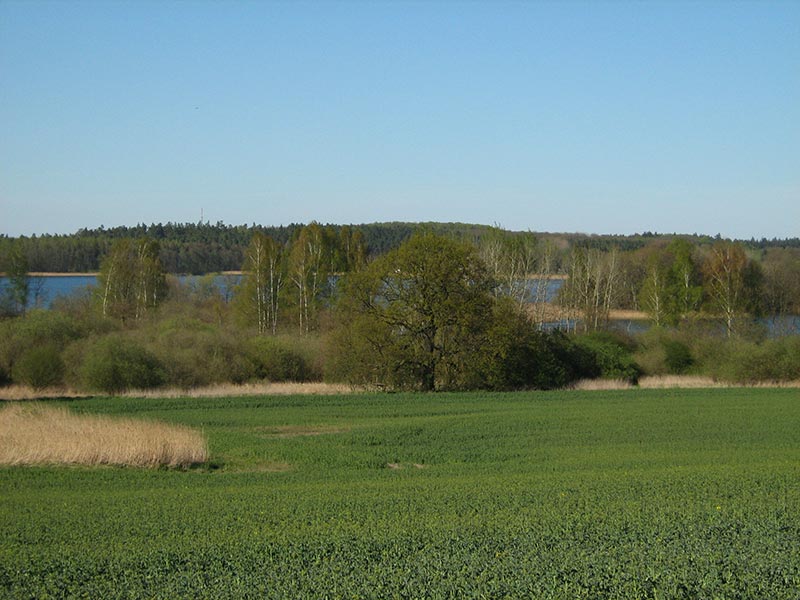 Feld und See