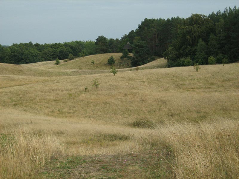 Hügellandschaft am Borgwall