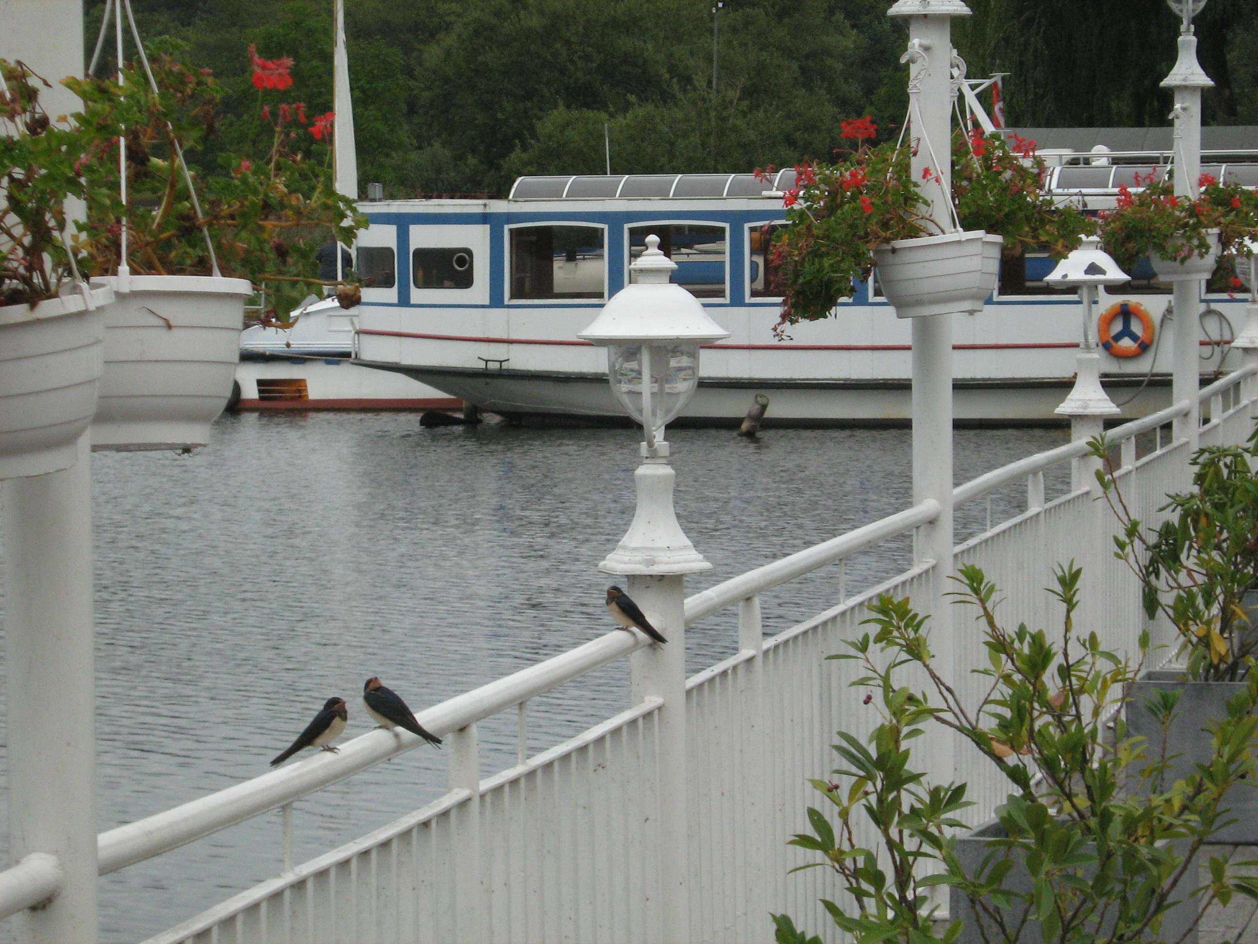 Einsteigen zur Seerundfahrt